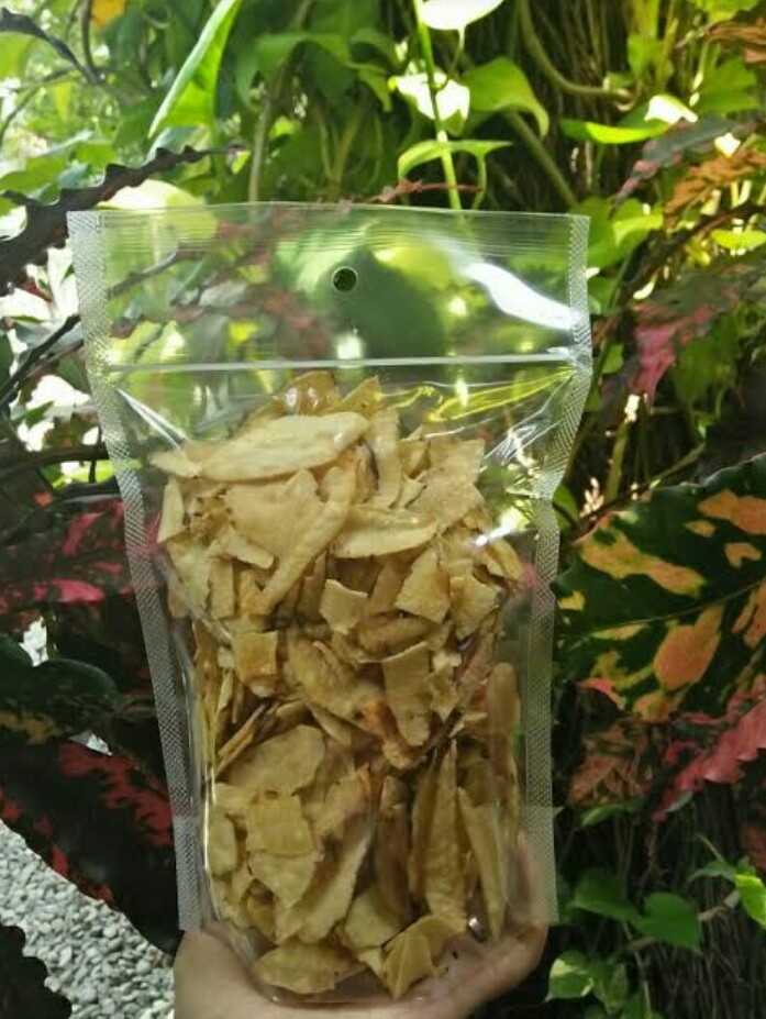 KERIPIK GAYAM
