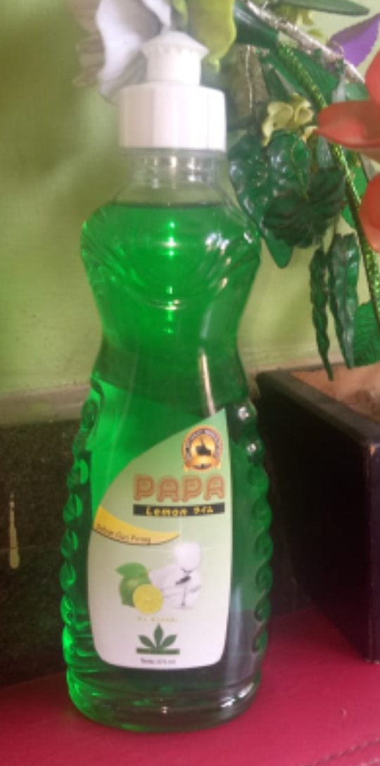 Papa lemon pencuci piring