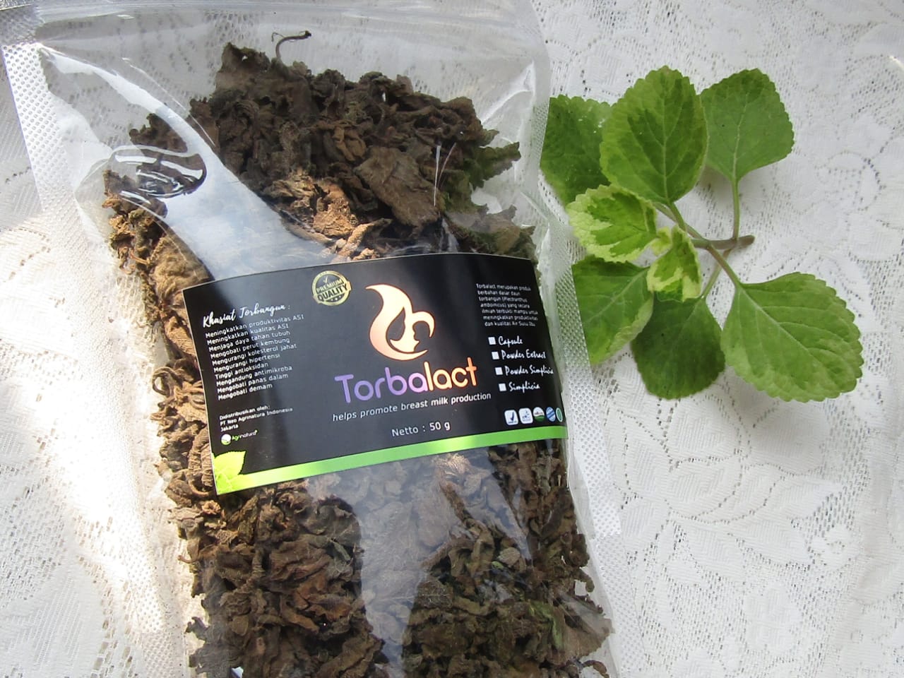 50 gram Simplisia / Daun Kering Torbangun / Pelancar ASI