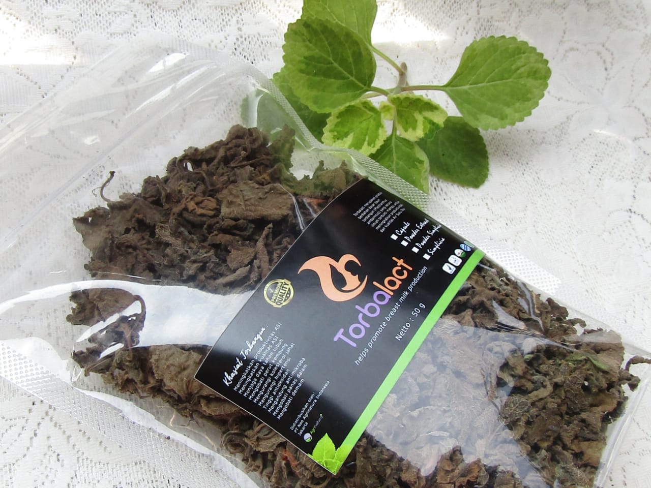 50 gram Simplisia / Daun Kering Torbangun / Pelancar ASI