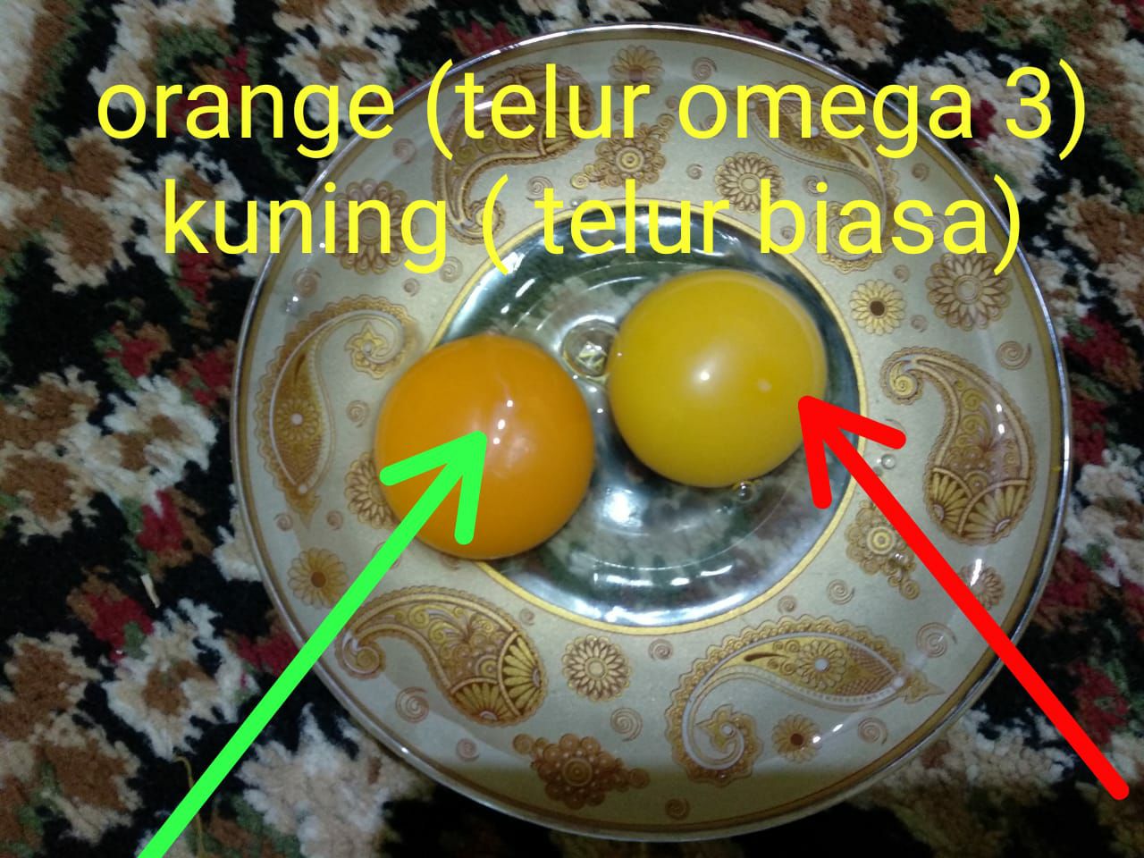 Telor Omega